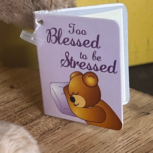 Too Blessed to Be Stressed Holy Bear Plush Stuufed Animal 🐻 2003 - Picture 11 of 14